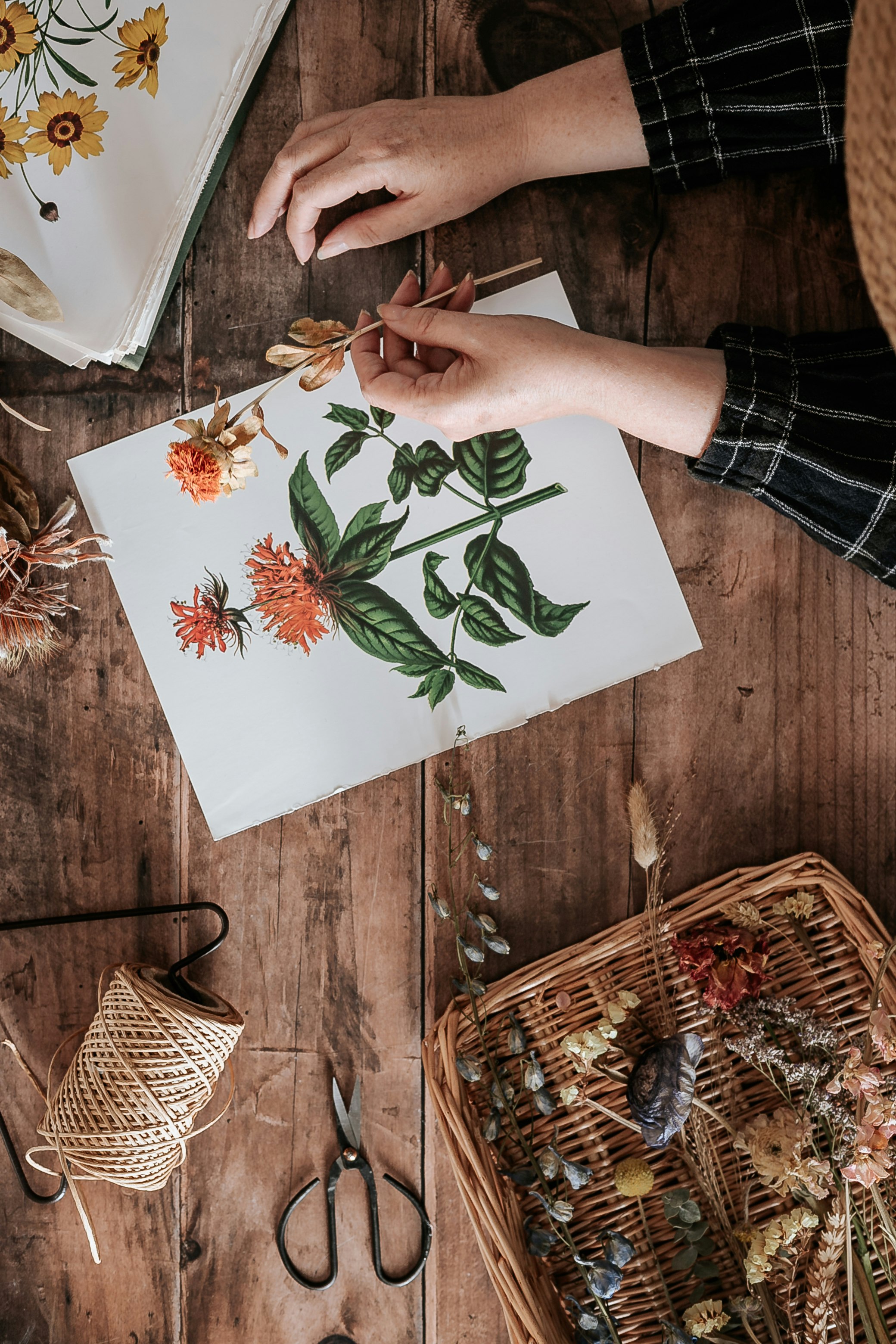 person holding white and green flower painting